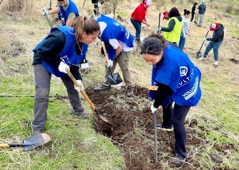 CAMPAÑA “DE LAS CENIZAS AL BOSQUE”