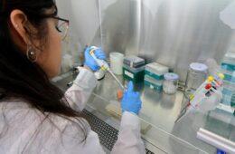 Estudio de caracterización cualitativa de empresas usuarias de la Ley I+D