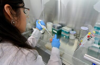 Estudio de caracterización cualitativa de empresas usuarias de la Ley I+D