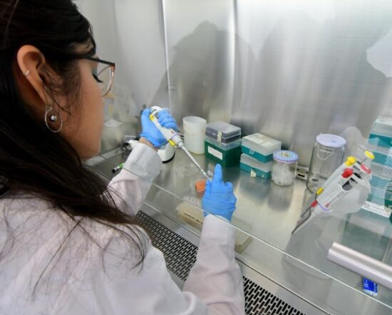 Estudio de caracterización cualitativa de empresas usuarias de la Ley I+D