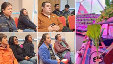 Innovavión Hortícola en Aysén