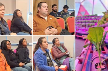 Innovavión Hortícola en Aysén