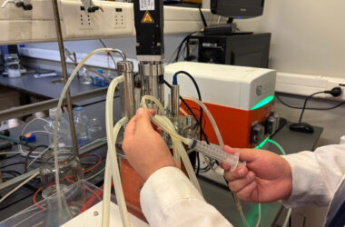 LEVADURA KOMAGATAELLA