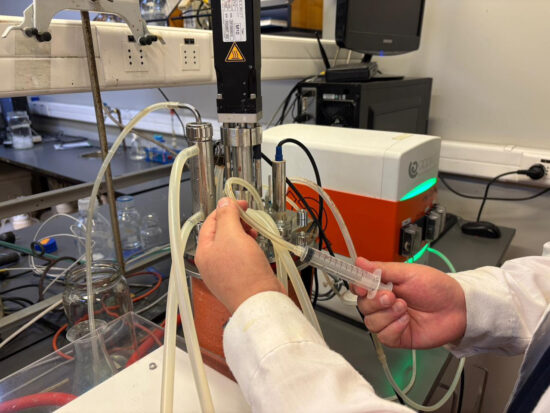 LEVADURA KOMAGATAELLA