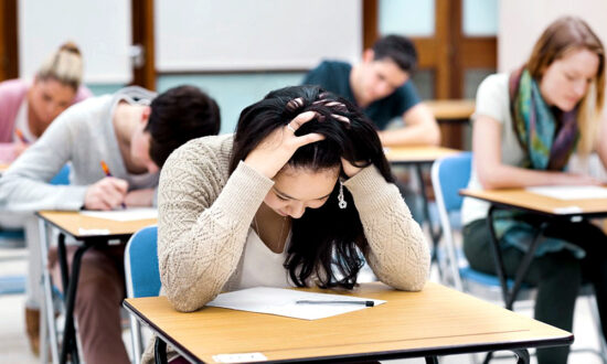 PRIMER AÑO DE UNIVERSIDAD