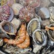 mariscos en Semana Santa