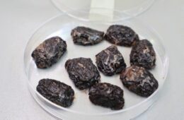 snacks de aceitunas de Azapa