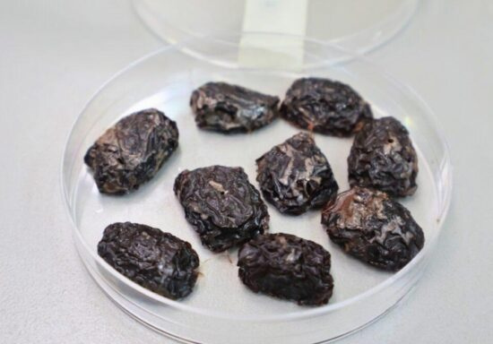 snacks de aceitunas de Azapa