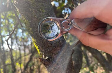 Asociación Parque Cordillera