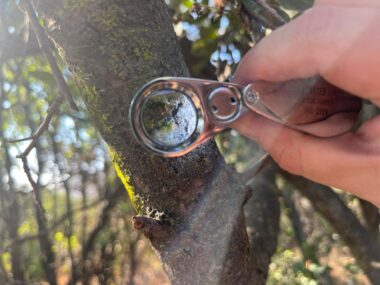 Asociación Parque Cordillera