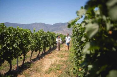 ENOTURISMO EN CHILE