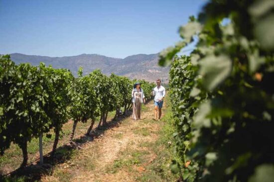 ENOTURISMO EN CHILE