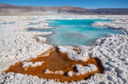 EXTRACCIÓN DE LITIO DESDE SALARES COMPLEJOS