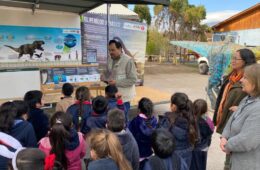 Fondo Tinguiririca Participa 2026