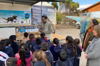 Fondo Tinguiririca Participa 2026