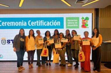 Mingueras de Cerro Navia