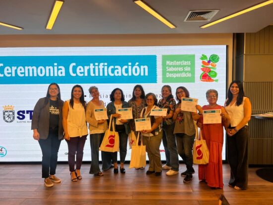 Mingueras de Cerro Navia