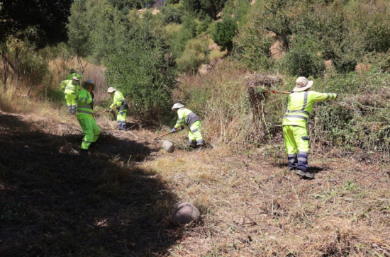 Programa de Emergencia de Empleo de CONAF