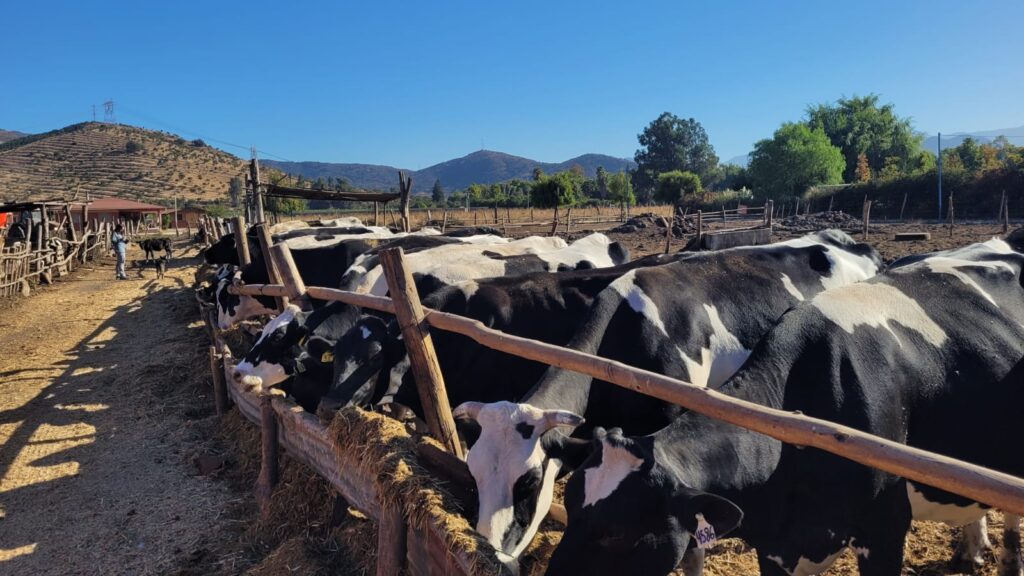 Riego de precisión y drones