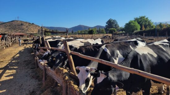 Riego de precisión y drones