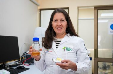 Universidad Católica del Maule