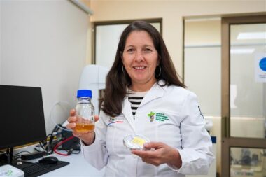 Universidad Católica del Maule