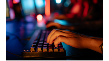 persona navegando en internet