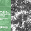 reporte Impactos y desafíos 2025