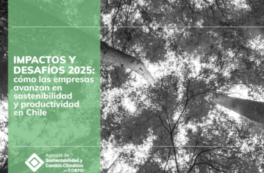 reporte Impactos y desafíos 2025