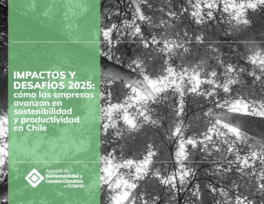 reporte Impactos y desafíos 2025