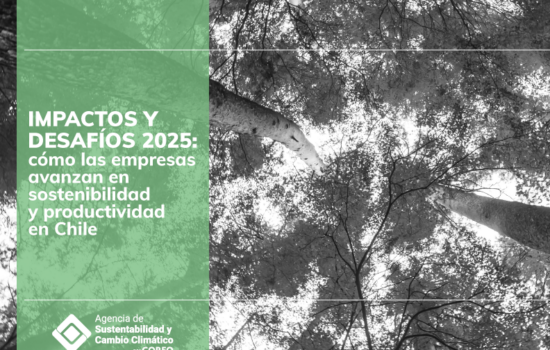 reporte Impactos y desafíos 2025