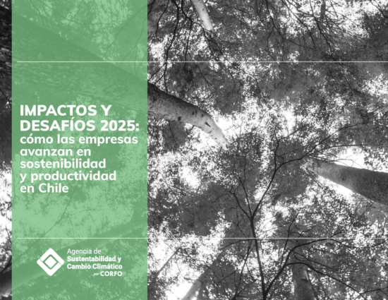 reporte Impactos y desafíos 2025