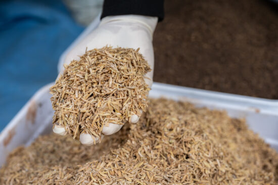 Next-Generation Bioelectrocatalysts for CO₂ Conversion