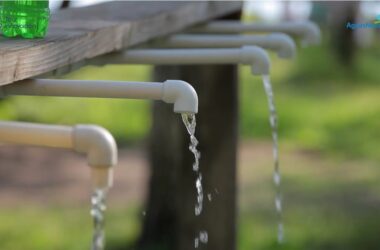 AGUAS NUEVAS