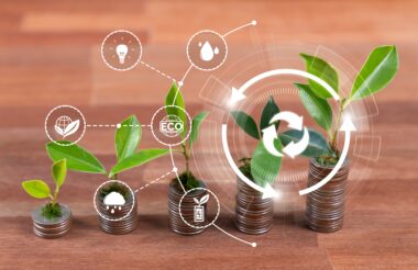 Banca impulsa a MiPymes sostenibles