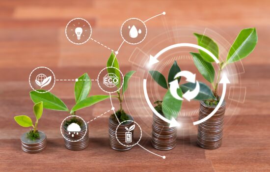Banca impulsa a MiPymes sostenibles