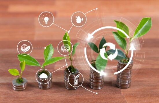 Banca impulsa a MiPymes sostenibles