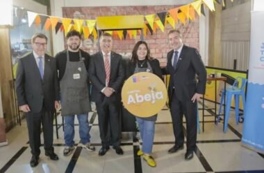 Capital Abeja 2026
