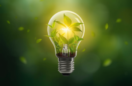 Día Internacional de la Luz