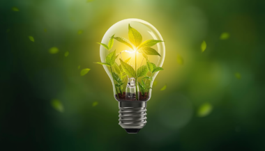 Día Internacional de la Luz