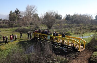Fortalecen conservación de humedal Antumalén