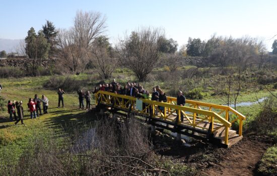 Fortalecen conservación de humedal Antumalén