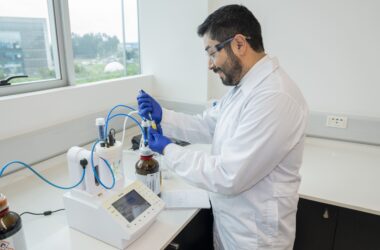 combustibles sostenibles de aviación a partir de camelina