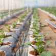 Agro-Tech O'Higgins 2026