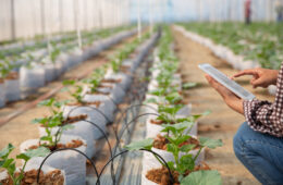 Agro-Tech O'Higgins 2026