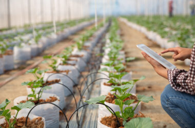 Agro-Tech O'Higgins 2026