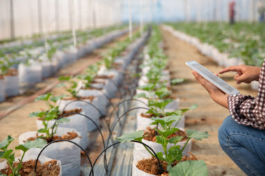 Agro-Tech O'Higgins 2026