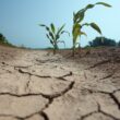Día Mundial de Lucha contra la Desertificación y la Sequía