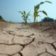 Día Mundial de Lucha contra la Desertificación y la Sequía