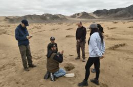Investigador UDA crea colecciones de microorganismos propios de Atacama
